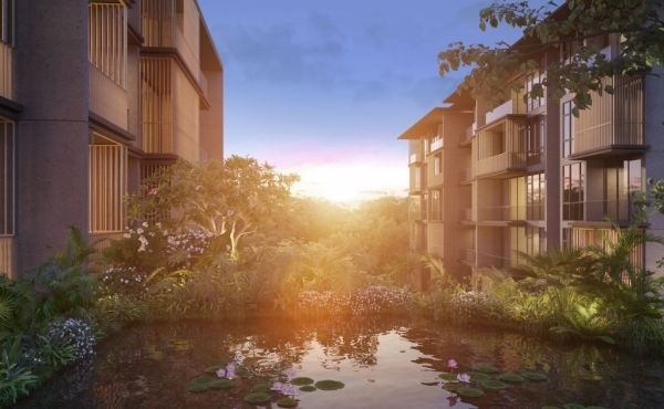 s07_Lily-pond-190121-(0-150)0150 s07_Lily-pond-190121-(0-150)0150